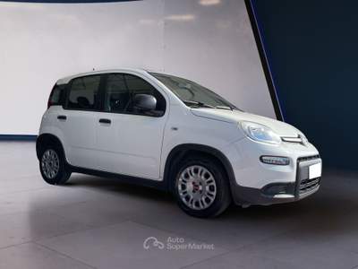 Fiat Panda Panda 1.0 FireFly S&S Hybrid Bianco usata Pordenone