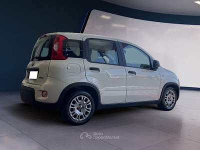 Fiat Panda Panda 1.0 FireFly S&S Hybrid Bianco usata Pordenone