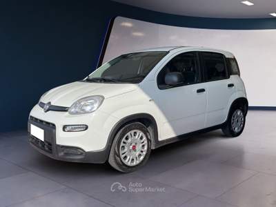 Fiat Panda Panda 1.0 FireFly S&S Hybrid Bianco usata Pordenone