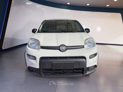 Fiat Panda Panda 1.0 FireFly S&S Hybrid Bianco usata Pordenone