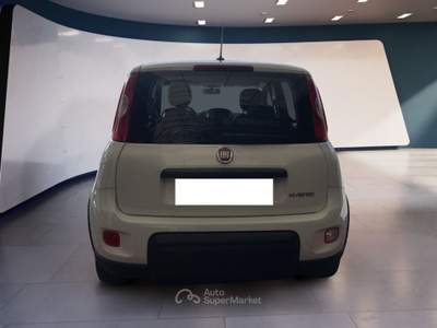 Fiat Panda Panda 1.0 FireFly S&S Hybrid Bianco usata Pordenone