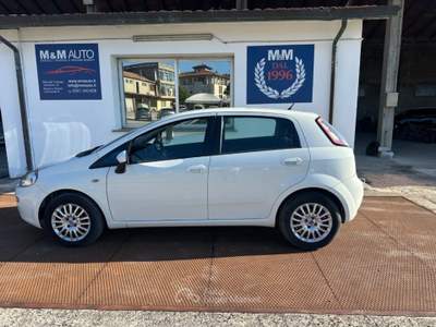 Fiat Punto 1.3 MJT II 75 CV 5 porte Street MOTORE NUOVO!!!!!! Bianco usata SAVIGNANO SUL RUBICONE