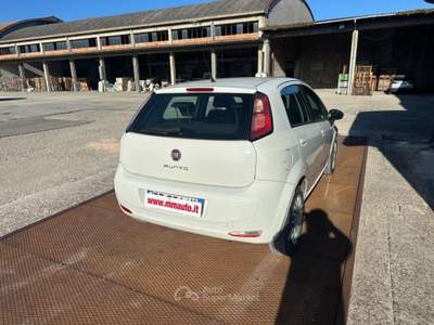 Fiat Punto 1.3 MJT II 75 CV 5 porte Street MOTORE NUOVO!!!!!! Bianco usata SAVIGNANO SUL RUBICONE