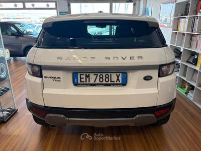 Land Rover Range Rover Evoque 5p. Pure usata SCORZE'
