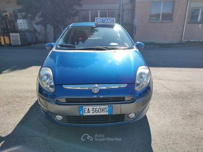 Fiat Punto Evo 5 P Active Natural Power, OK NEOPATENTATI Blu/Azzurro usata Reggio nell'Emilia