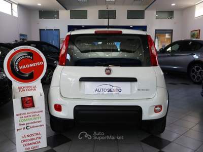Fiat Panda 1.0 firefly hybrid City Life s&s 70cv Bianco usata Carlentini