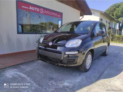 Fiat Panda Panda 1.0 FireFly S&S Hybrid Nero usata SARZANA