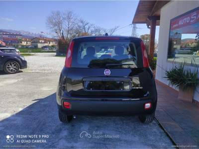 Fiat Panda Panda 1.0 FireFly S&S Hybrid Nero usata SARZANA