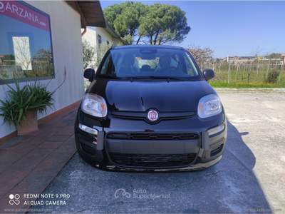 Fiat Panda Panda 1.0 FireFly S&S Hybrid Nero usata SARZANA