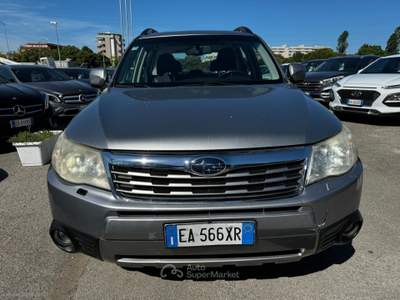 Subaru Forester Forester 2.0XS Bi-Fuel Trend Grigio usata RIMINI