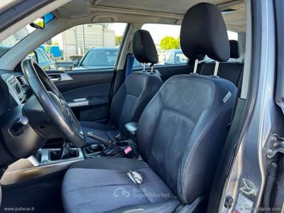 Subaru Forester Forester 2.0XS Bi-Fuel Trend Grigio usata RIMINI