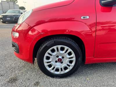 Fiat Panda Panda 1.0 FireFly S&S Hybrid Rosso usata RIMINI