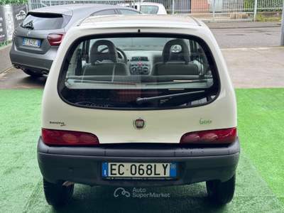 Fiat 600 Active Bianco usata Fontanella