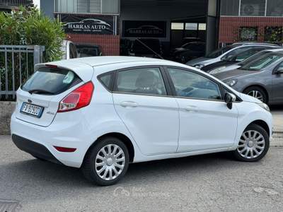 Ford Fiesta 5 porte Black & White Edition Bianco usata Fontanella