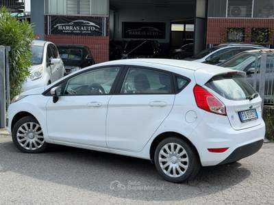 Ford Fiesta 5 porte Black & White Edition Bianco usata Fontanella