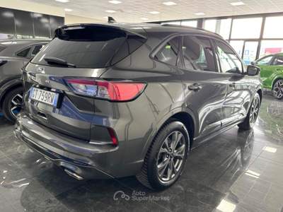 Ford Kuga 2.0 EcoBlue 120 CV aut. 2WD ST-Line Grigio usata Medesano
