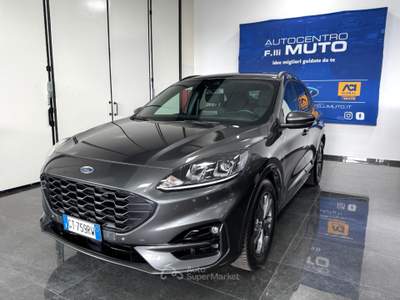 Ford Kuga 2.0 EcoBlue 120 CV aut. 2WD ST-Line Grigio usata Medesano