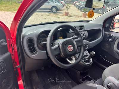 Fiat Panda Fiat Panda usata Sant'Antonio Abate