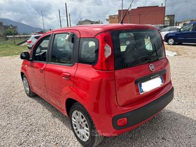 Fiat Panda Fiat Panda usata Sant'Antonio Abate