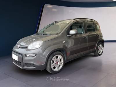 Fiat Panda Panda 1.0 FireFly S&S Hybrid City Life * PROMO * Grigio usata Pordenone