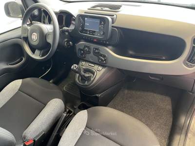 Fiat Panda Panda 1.0 FireFly S&S Hybrid City Life * PROMO * Grigio usata Pordenone