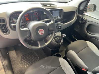 Fiat Panda Panda 1.0 FireFly S&S Hybrid City Life * PROMO * Grigio usata Pordenone