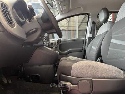 Fiat Panda Panda 1.0 FireFly S&S Hybrid City Life * PROMO * Grigio usata Pordenone