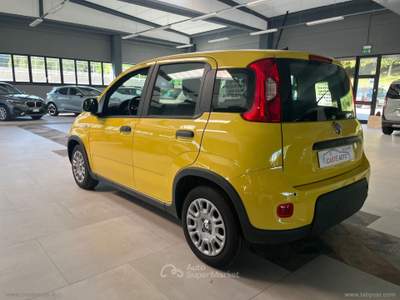 Fiat Panda Panda 1.0 FireFly S&S Hybrid Giallo usata Marzabotto