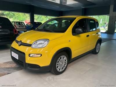 Fiat Panda Panda 1.0 FireFly S&S Hybrid Giallo usata Marzabotto