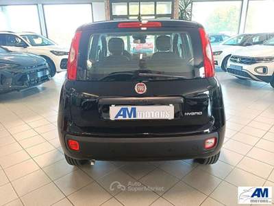 Fiat Panda  Nero usata Castelnovo di Sotto