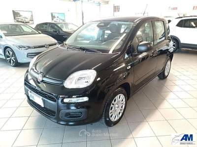 Fiat Panda  Nero usata Castelnovo di Sotto