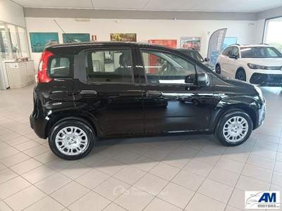 Fiat Panda  Nero usata Castelnovo di Sotto