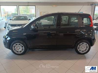 Fiat Panda  Nero usata Castelnovo di Sotto