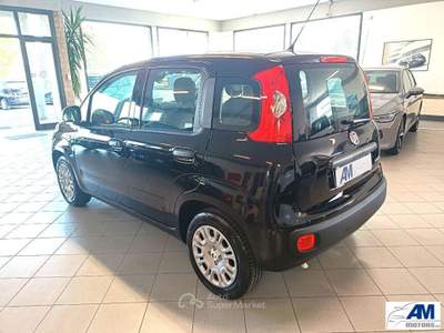 Fiat Panda  Nero usata Castelnovo di Sotto