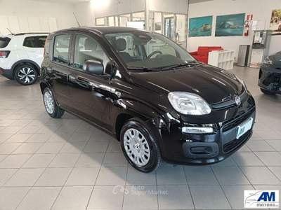 Fiat Panda  Nero usata Castelnovo di Sotto