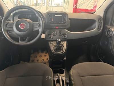 Fiat Panda Panda 1.0 FireFly S&S Hybrid Nero usata Concesio