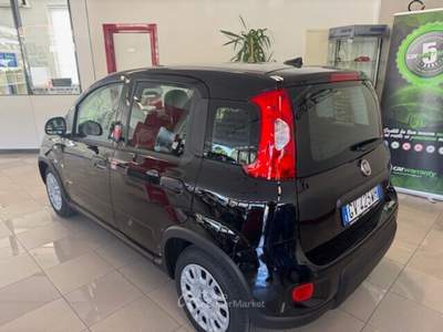 Fiat Panda Panda 1.0 FireFly S&S Hybrid Nero usata Concesio