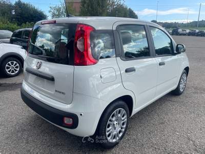 Fiat Panda FireFly S&S Hybrid S9 5P. PROMO KM0 PRONTA CONSEGNA Bianco usata Casalgrande