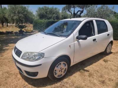 Fiat Punto FIAT PUNTO Bianco usata Raviscanina