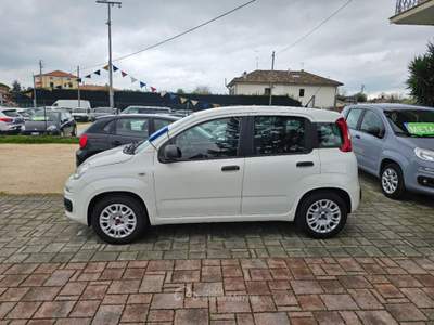 Fiat Panda 1.2 Easy Bianco usata Civitanova Marche