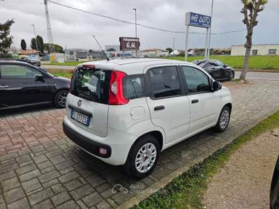Fiat Panda 1.2 Easy Bianco usata Civitanova Marche