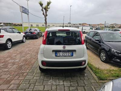Fiat Panda 1.2 Easy Bianco usata Civitanova Marche