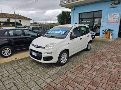 Fiat Panda 1.2 Easy Bianco usata Civitanova Marche