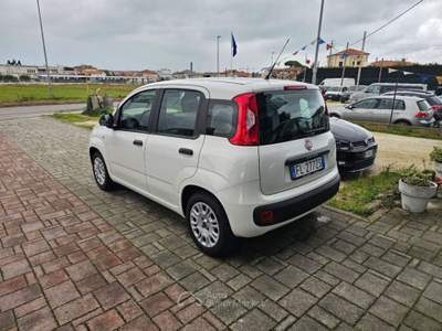Fiat Panda 1.2 Easy Bianco usata Civitanova Marche
