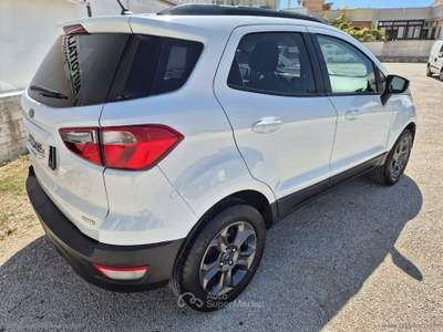 Ford EcoSport EcoSport 1.0 EcoBoost 125 CV S&S Business usata Monteiasi