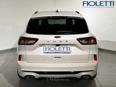 Ford Kuga 3ª SERIE 1.5 ECOBOOST 150 CV 2WD ST-LINE Bianco usata Manerbio
