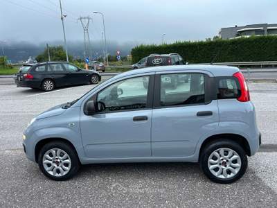 Fiat Panda Panda 0.9 TwinAir Turbo Nat. Power Easy Grigio usata Lavis