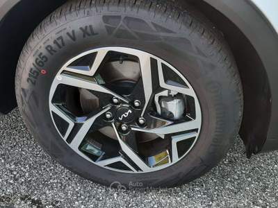 Kia Sportage Sportage 1.6 crdi mhev Business mt Bianco usata San Vendemiano