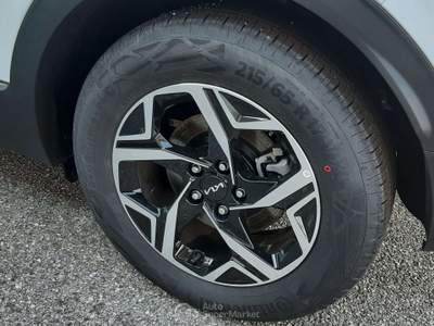 Kia Sportage Sportage 1.6 crdi mhev Business mt Bianco usata San Vendemiano