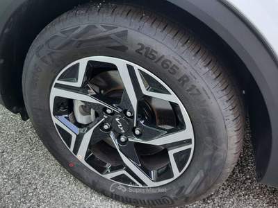 Kia Sportage Sportage 1.6 crdi mhev Business mt Bianco usata San Vendemiano